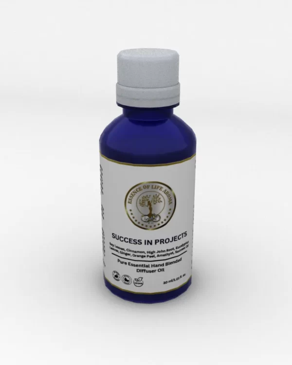 SUCCESS IN PROJECTS (30ml)