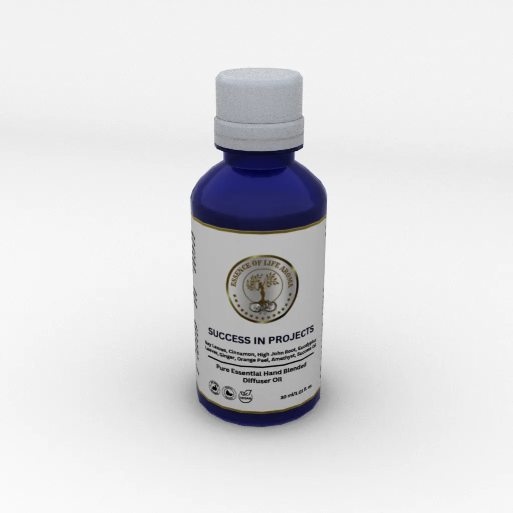 SUCCESS IN PROJECTS (30ml)